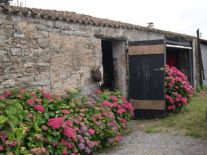 DVM Rénov rénovation de mur en pierres près de Nantes